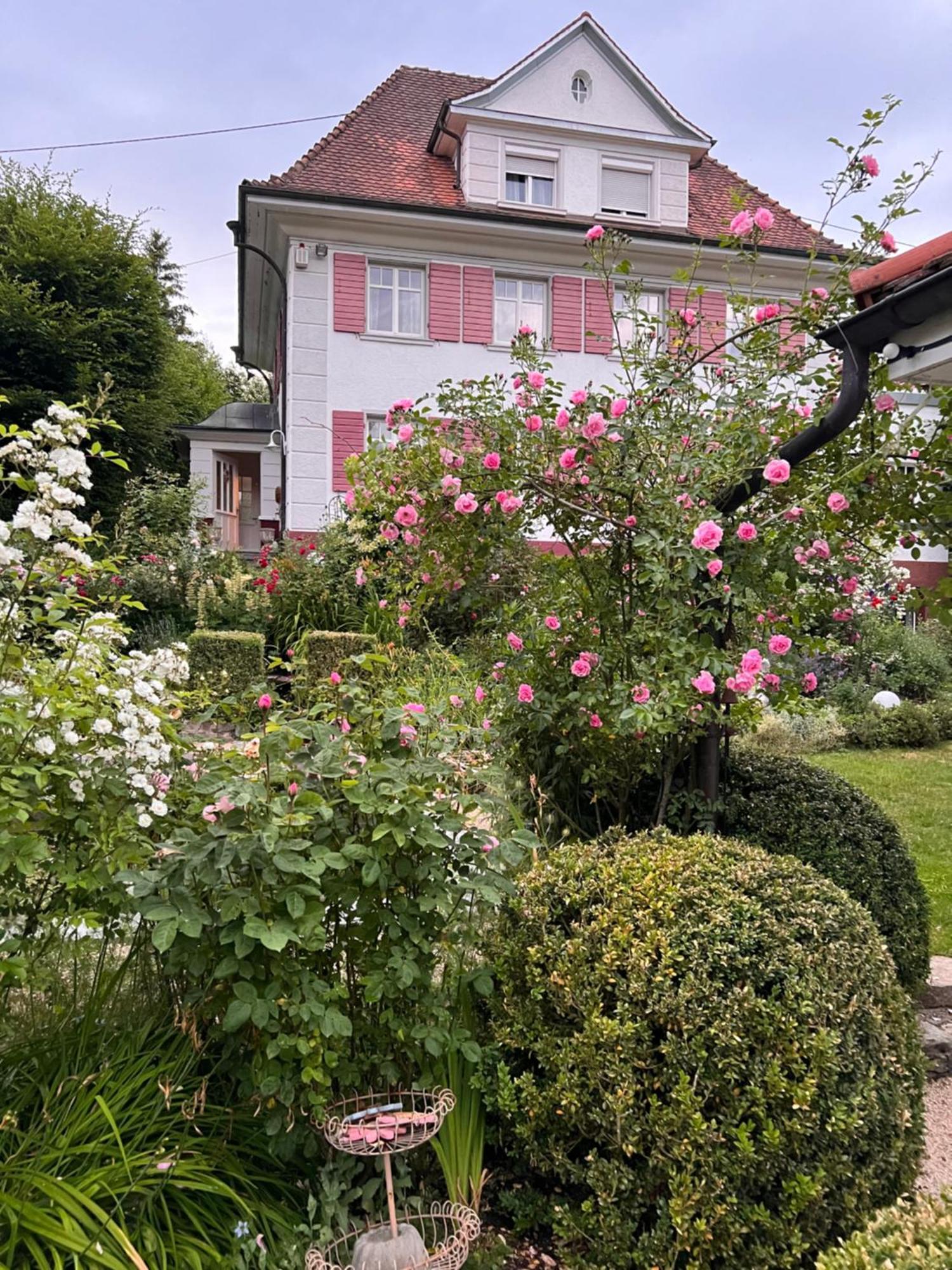 B&B Rosenliebe Niedereschach Eksteriør billede